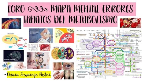 Errores Innatos Del Metabolismo Apuntes M Dicos Udocz