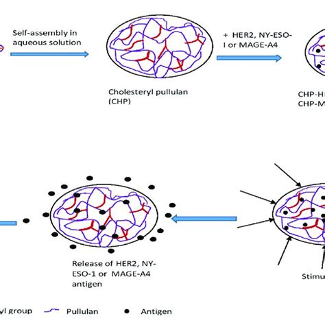 Examples of some polymers used in nanogel formulations. | Download ...