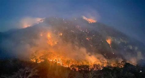 Se Han Registrado En Sonora Incendios Forestales En Lo Que Va Del