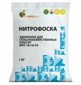 Удобрение Нитрофоска: инструкция по применению, состав