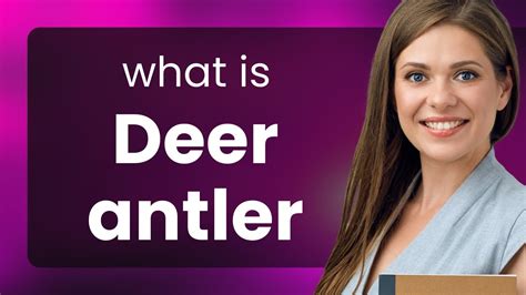 Understanding Deer Antler In English Youtube