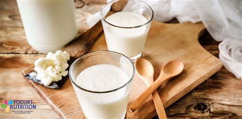 fermented foods : more than health benefits? - Yogurt in Nutrition