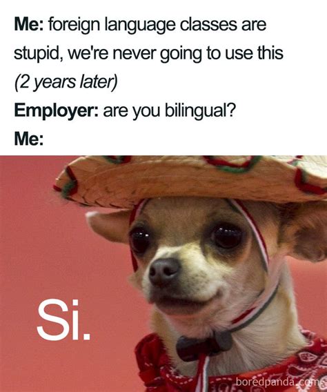 Funny Spanish Language Memes Spanish Classroom Spanish Teacher Teaching Spanish Teaching Time