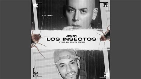 Los Insectos Youtube Music