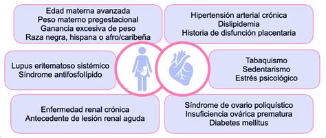 Factores De Riesgo Compartidos Entre Preeclampsia Y Enfermedad