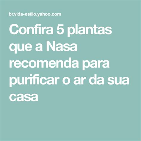 Confira 5 Plantas Que A Nasa Recomenda Para Purificar O Ar Da Sua Casa