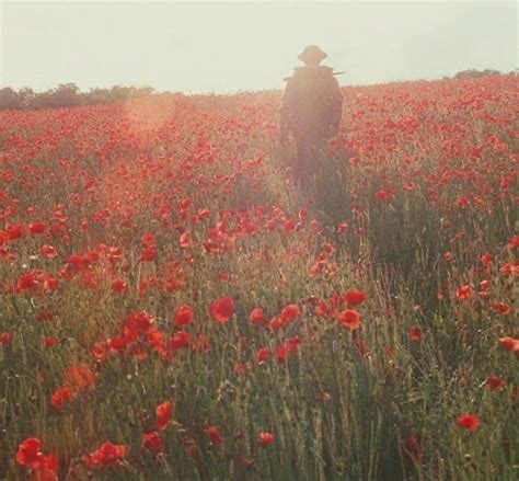 Искупление, 2007 | Atonement, Film, Best cinematography