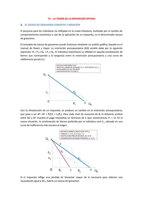 T Apuntes T La Teor A De La Imposici N Ptima El Exceso De