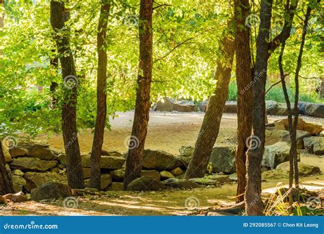 Sunny View Of The Nature Landscape Of Martin Nature Park Stock Image