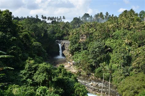 Insiders Guide to Gianyar, Bali: Fascinating History & Natural Beauty