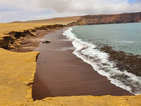 Playa Roja Paracas Lo Que Se Debe Saber Antes De Viajar Tripadvisor