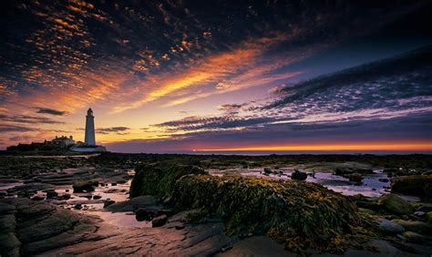 Scenic Shot of St Mary's Lighthouse · Free Stock Photo