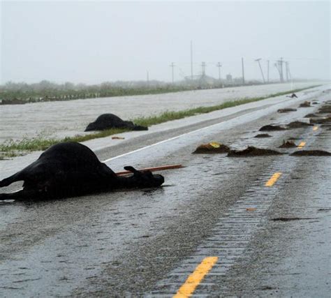 Las Impactantes Imágenes De Las Catastróficas Inundaciones En Texas