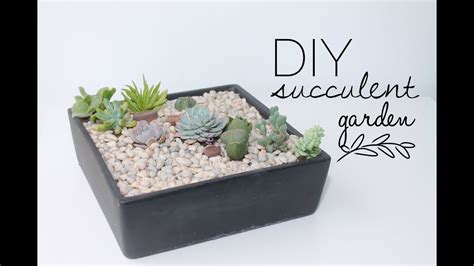 Diy Tutorial How To Make A Succulent Garden Youtube