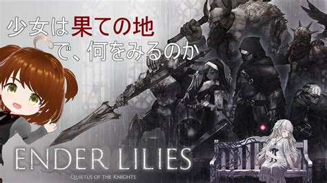 【ender Lilies Quietus Of The Knights】白巫女と黒騎士とシスターと少年と鳥と老兵と魔法使い×2のptになっ