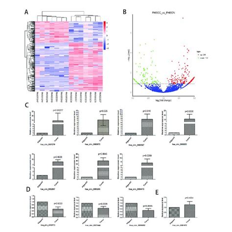 Identification And Validation Of Differentially Expressed Circular