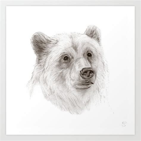 Brown Bear Sketch at PaintingValley.com | Explore collection of Brown ...