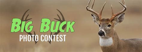 Big Buck Photo Contest The Mighty 790 KFGO KFGO