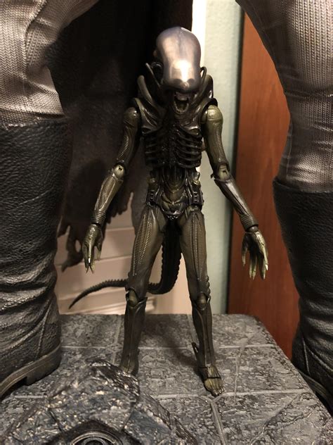 For All You Alien Lovers Have You Checked Out The Mafex Big Chap R Neca