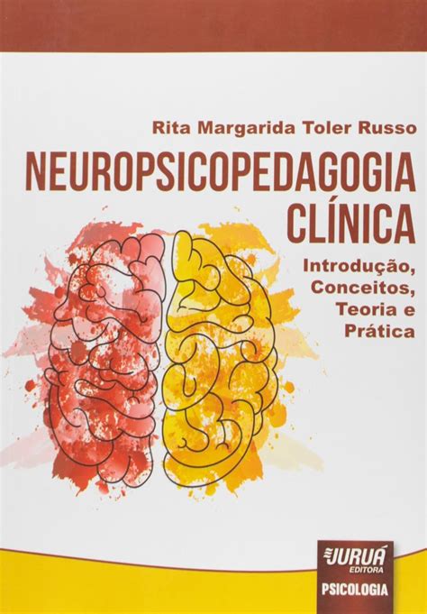 Amazon Neuropsicopedagogia Clinica Introducao Conceitos Teoria