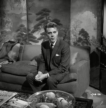 Closeted Gay Men Stock Pictures Editorial Images And Stock Photos Shutterstock