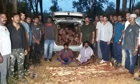 Tirupati Task Force Officials Seize 75 Red Sanders Logs Arrest 2