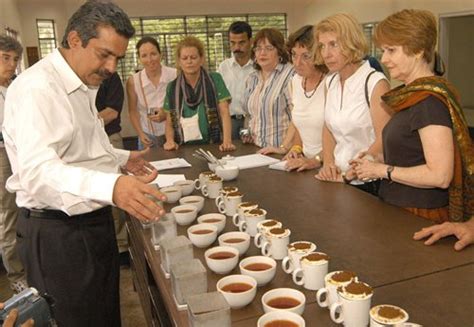 Rare Assam Tea Bags World Record At Auction In India Demonstrating Growth In International