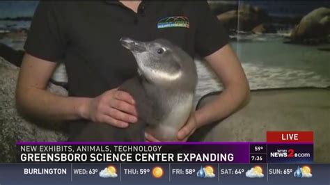 New Exhibits & Animals Greensboro Science Center Expanding | wfmynews2.com