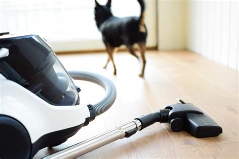 Best Cordless Vacuum 2025 For Pet Hair Richard Churchill