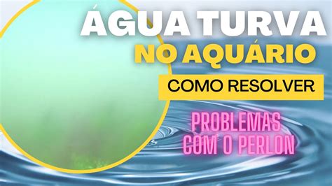 Como Resolver Problema De Gua Turva No Aqu Rio Gua Leitosa