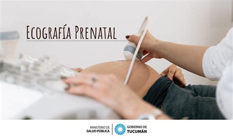 Ecografías Prenatales La Herramienta Fundamental Para Determinar La