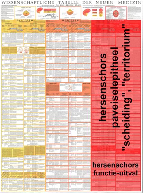 Grafiek Tabel Cortex Akademie Für Germanische Heilkunde