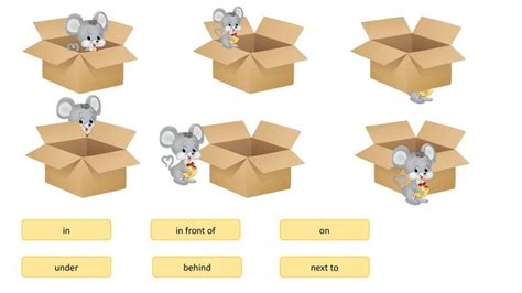 Prepositions of place IN, ON, UNDER, BEHIND, NEXT TO, IN FRONT OF