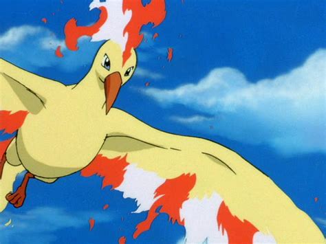 Moltres - Pokedex Guide - IGN