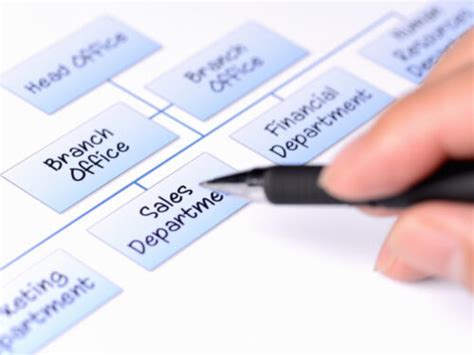 Organizational Chart for Small Business: Definition and Examples