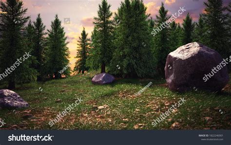 Wilderness Landscape Forest Pine Trees Moss Stock Illustration