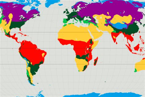 What are the different climate zones? A simple explainer