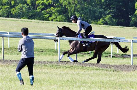 【プリンスオブウェールズs】シャフリヤールは坂路で調整 藤原調教師「いい状態できています」 Umatoku 馬トク