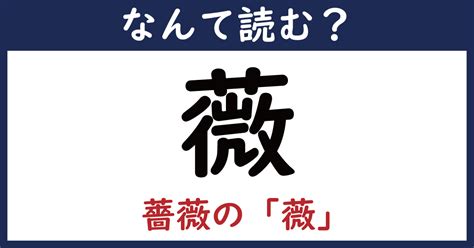 【なんて読む？】今日の難読漢字「薇」（薔薇の“薇”だけ）（111 ページ） ねとらぼ