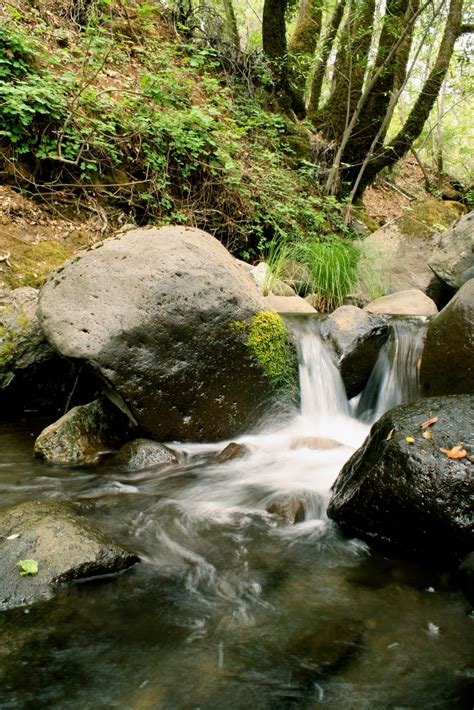 DOUGLASCAIN: Camping at Harbin Hot Springs in Lakes County