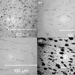 Optical Micrographs Of Homogenized A Alloy B Alloy C