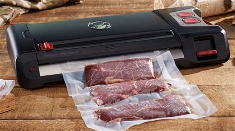 The 5 Best Food Vacuum Sealers In 2024 Skingroom