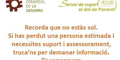 El Consell Comarcal De La Segarra Disposar Dun Nou Servei De Suport