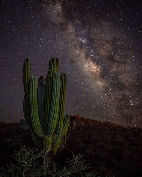 ¡DESIERTO DE SONORA! "Una noche de Junio en el Desierto Sonorense de ...