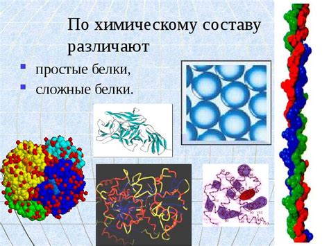 Классификация белков