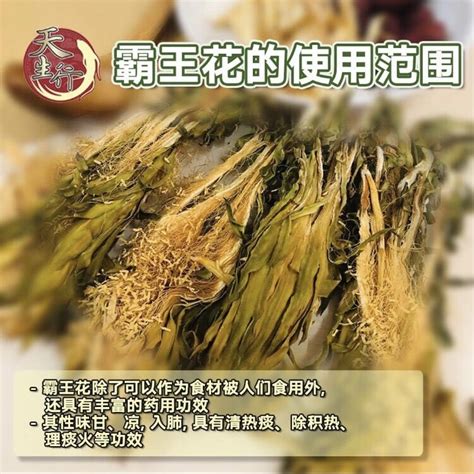 Sword Flower Ba Wang Hua 霸王花 100gm Lazada