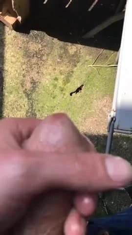 Cheeky Wank While The Neighbours Are Out Gay Man Porn Xhamster