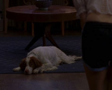 Recaps Of Sex And The City Television Of Yore