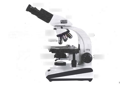 BIOL 330 MICRO Lab Practical 1 Diagram Quizlet