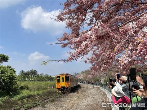 清明連假賞彰化二水鐵道花旗木 可由高鐵台鐵轉乘跑水求財線直達 Ettoday地方新聞 Ettoday新聞雲